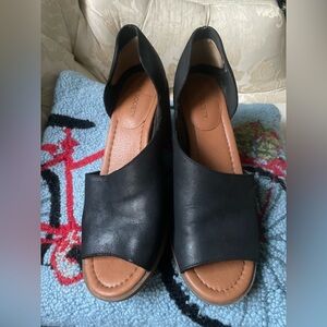 Shoe-black leather